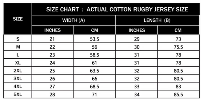 Wholesale 2 Pcs of Mens Long Sleeve Polo Shirts